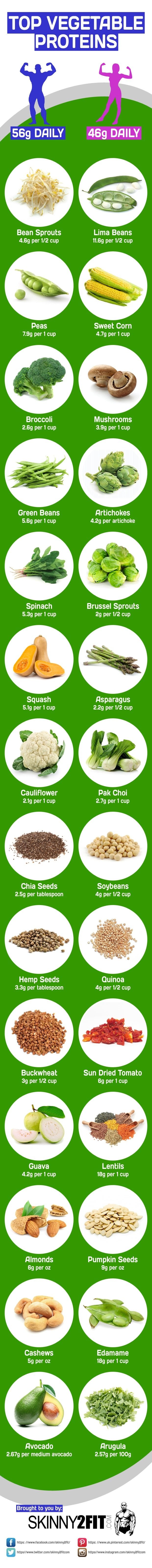 Top Vegetable Proteins