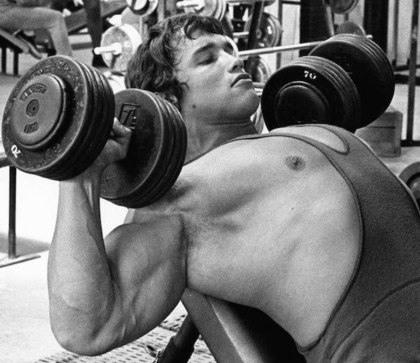 Arnold Schwarzenegger Training Program