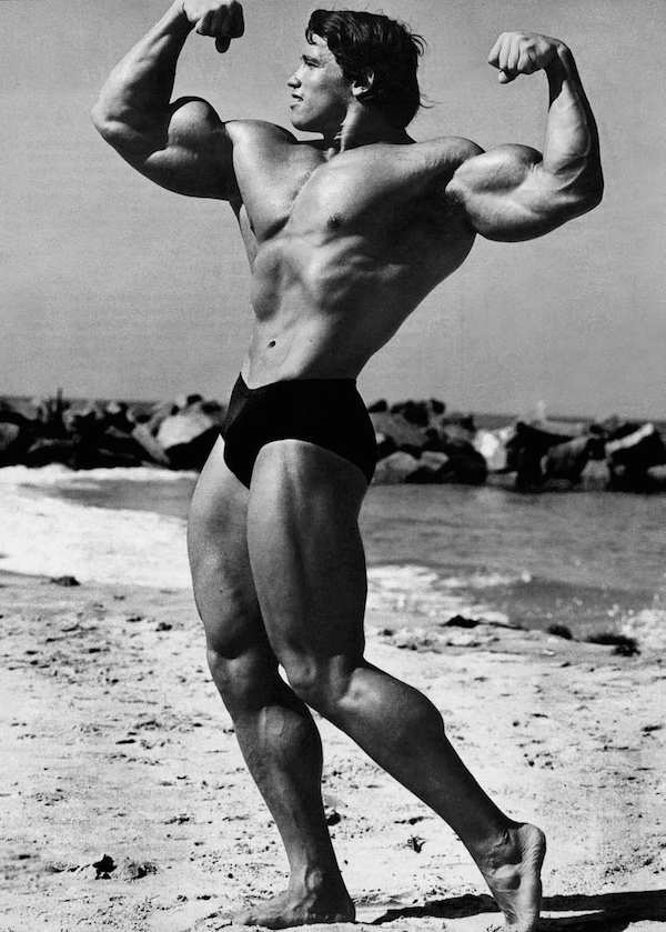 Arnold Schwarzenegger The Richest Bodybuilder