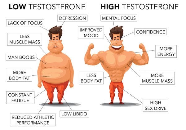 The Benefits of Increasing Testosterone