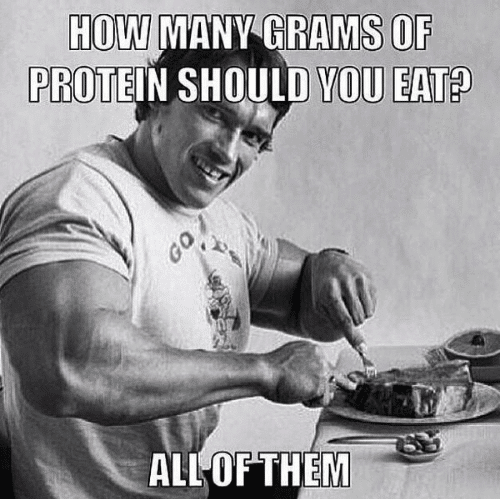 How many grams of protein should you eat? All of them